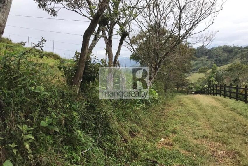 Finca Santa Cruz - Turrialba