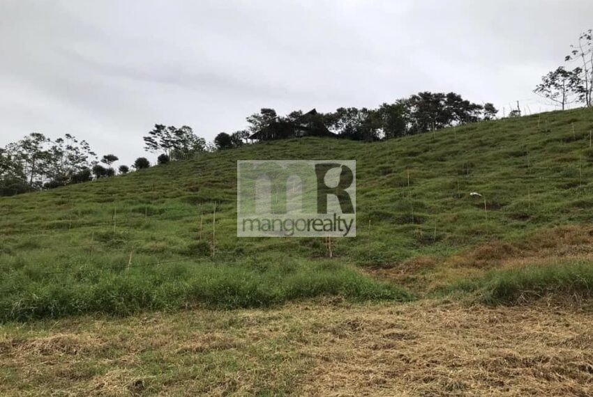 Finca Santa Cruz - Turrialba