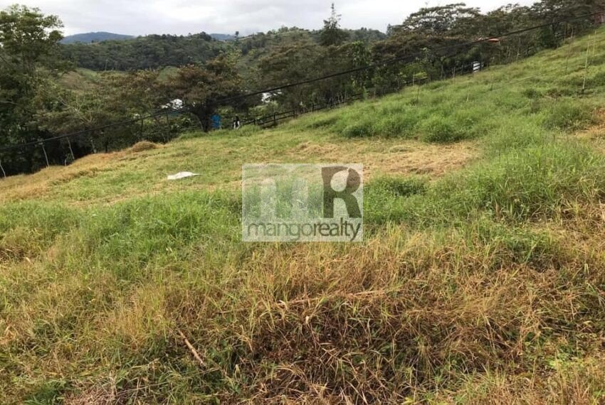 Finca Santa Cruz - Turrialba