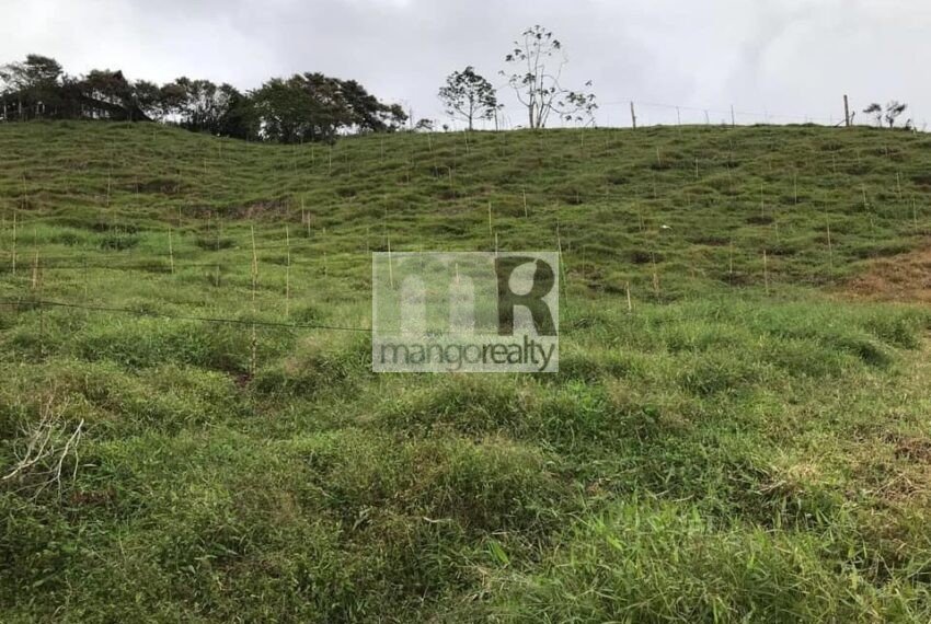 Finca Santa Cruz - Turrialba