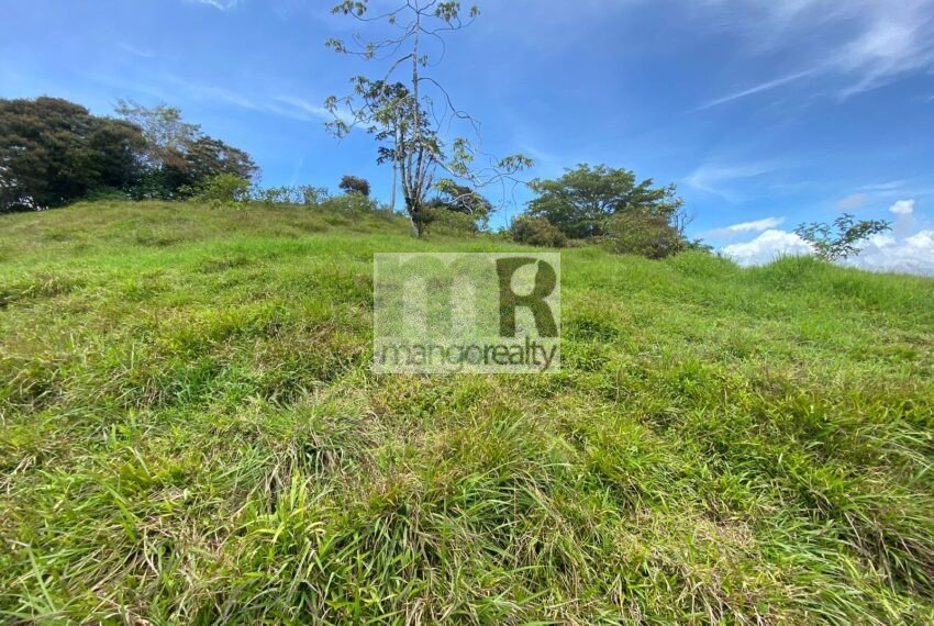 Finca Santa Cruz - Turrialba