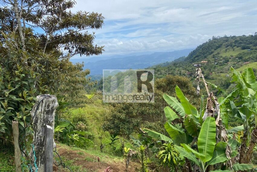 Finca Santa Cruz - Turrialba