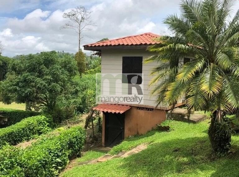 Monterrey, San Carlos