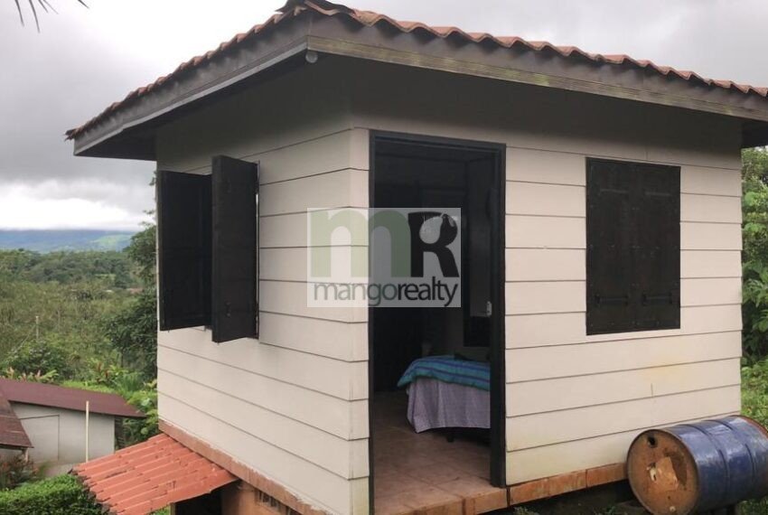 Monterrey, San Carlos