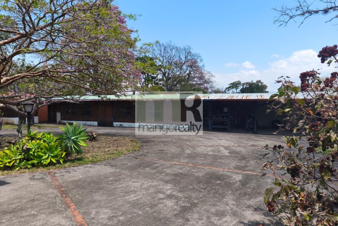 WhatsApp Image 2026-03-17 at 2.37.00 PM (1)