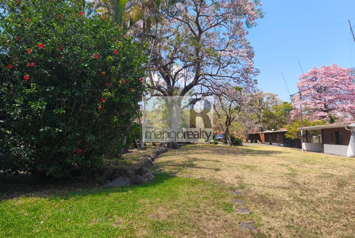 WhatsApp Image 2026-03-17 at 2.37.03 PM (2)