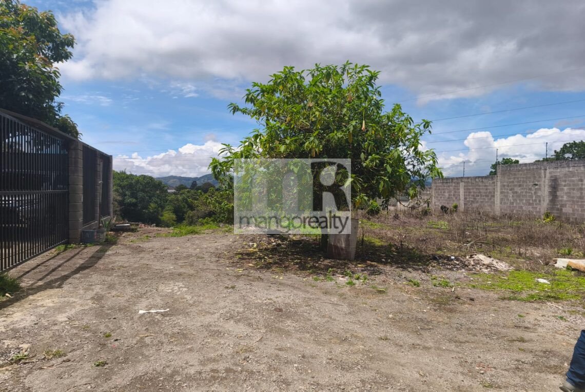 Lote San Ramón - La Unión