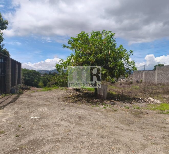 Lote San Ramón - La Unión