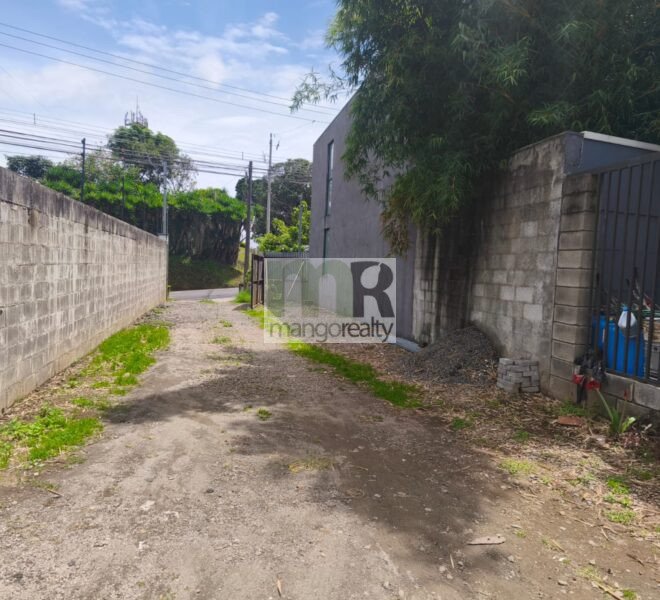 Lote San Ramón - La Unión