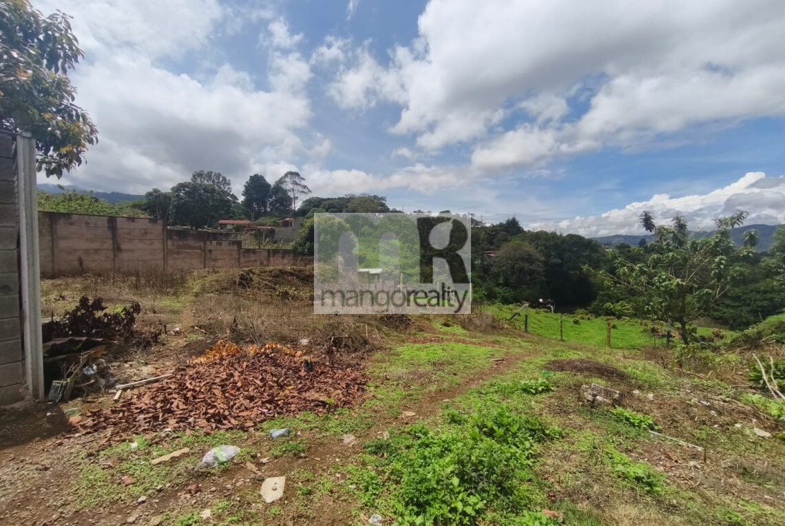 Lote San Ramón - La Unión