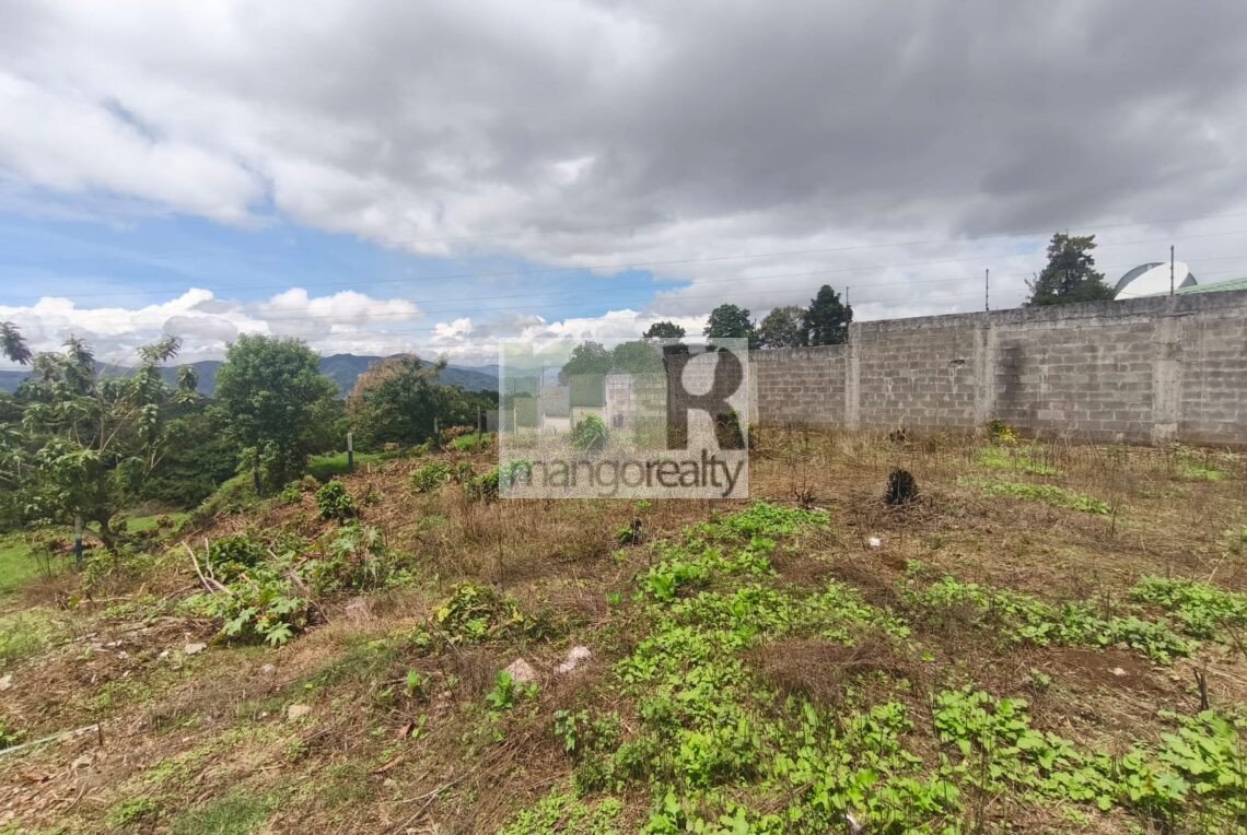 Lote San Ramón - La Unión
