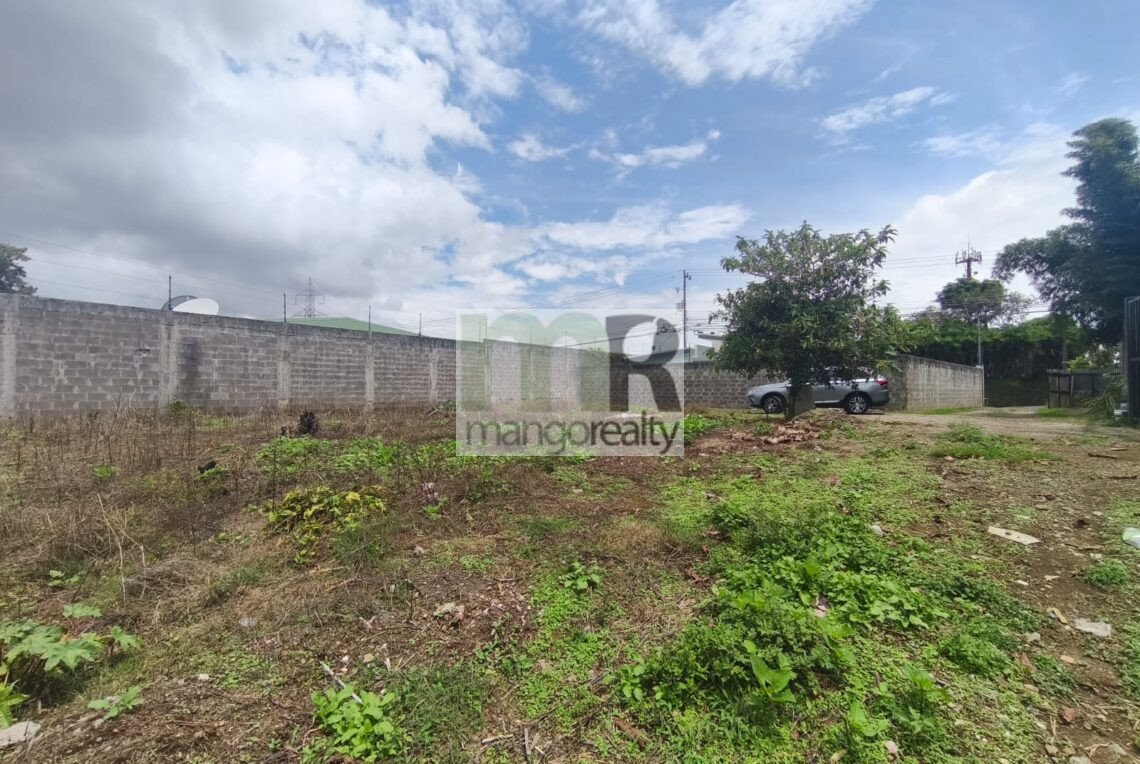 Lote San Ramón - La Unión