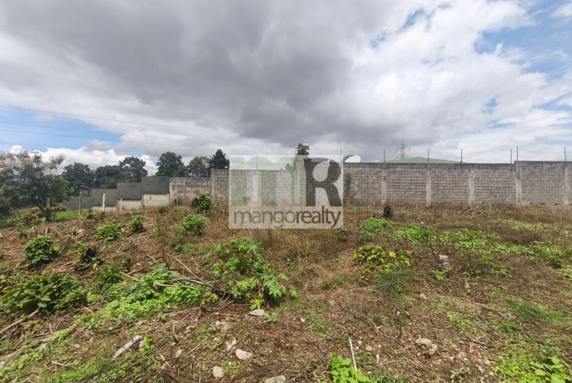 Lote San Ramón - La Unión