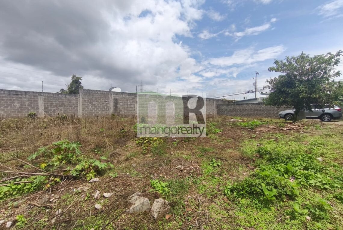 Lote San Ramón - La Unión
